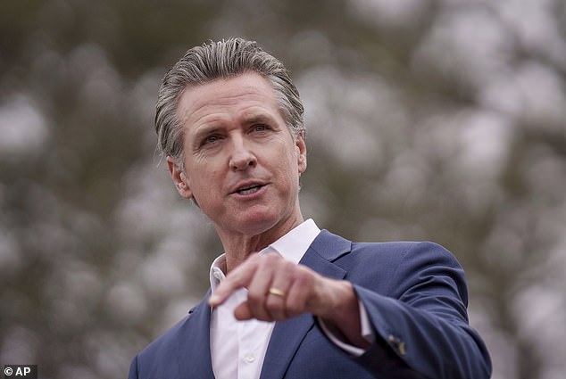 Gavin Newsom proposes ‘insane’ move against Elon Musk as he attempts to defy Trump with electric car rebates that excludes Tesla