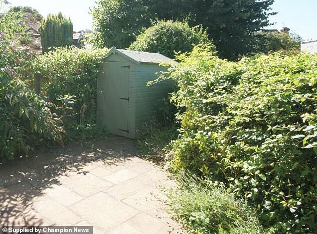 ‘Nightmare’ neighbour who chopped down hedge to make her flowerbed two feet bigger loses latest court battle that’s already cost her £27,000