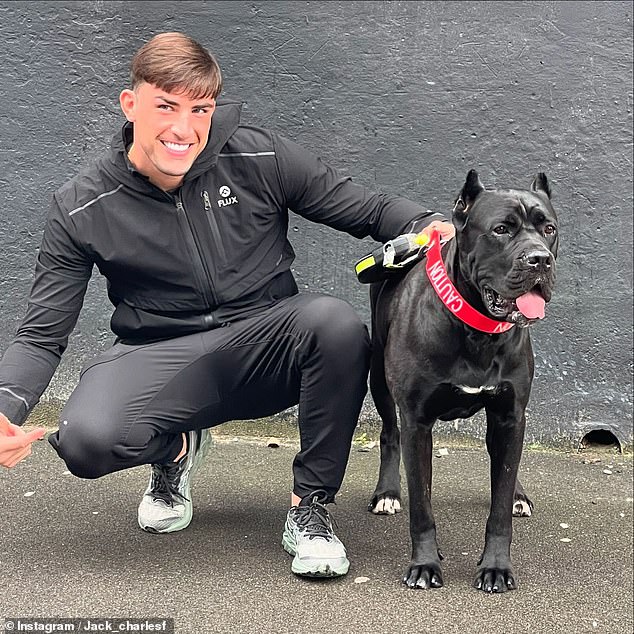 Love Island winner Jack Fincham is freed on bail as he appeals after being jailed for six weeks over his dog’s attack on jogger