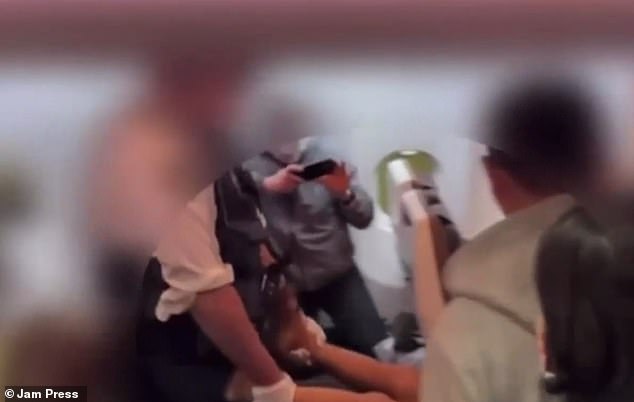Moment passenger is removed from plane after biting flight attendant